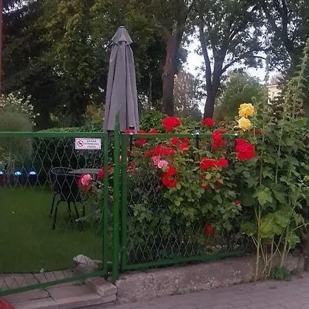U Mirki *